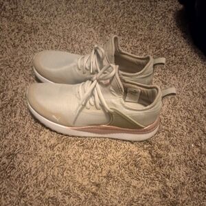 Pumas